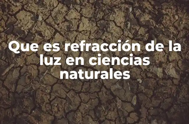 Que es Refracción de la Luz en Ciencias Naturales