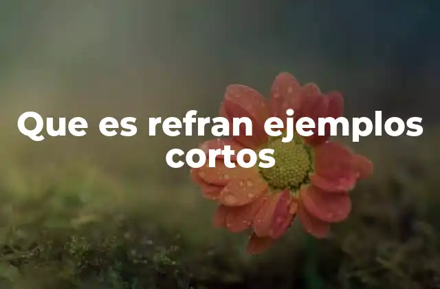 Que es Refran Ejemplos Cortos