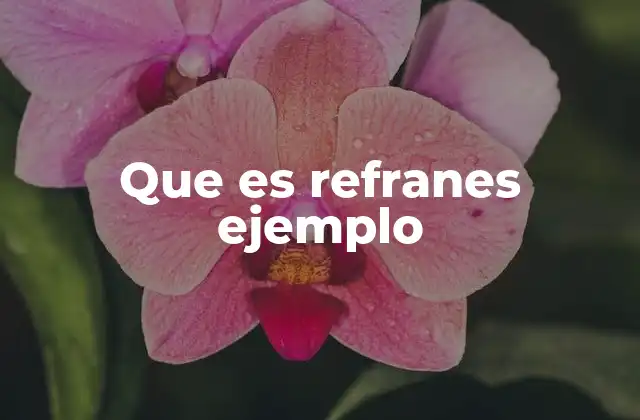 Que es Refranes Ejemplo