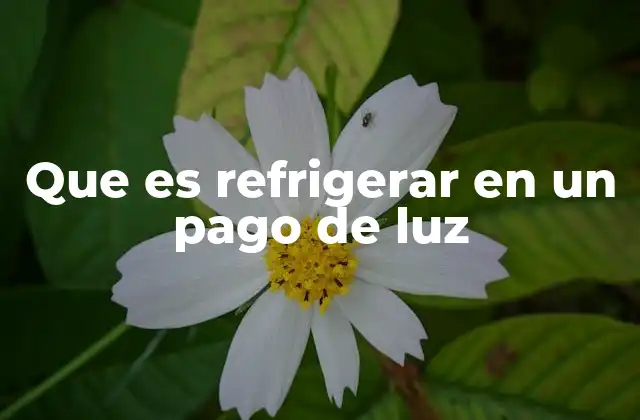 Que es Refrigerar en un Pago de Luz