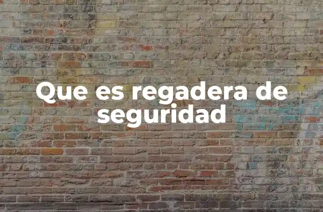Que es Regadera de Seguridad