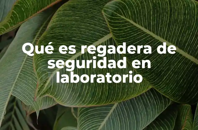 Qué es Regadera de Seguridad en Laboratorio