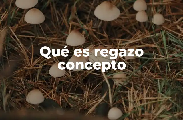 El regazo como símbolo de afecto y protección