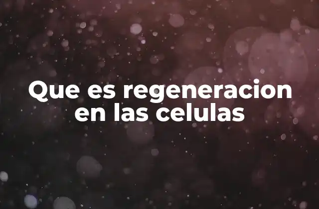 Que es Regeneracion en las Celulas 2 Cómo el cuerpo mantiene la integridad celular