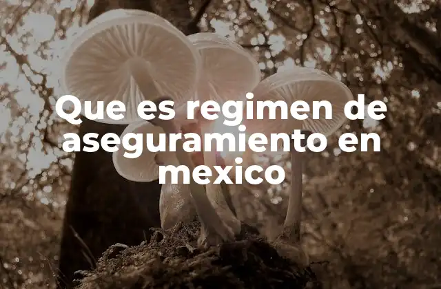Que es Regimen de Aseguramiento en Mexico