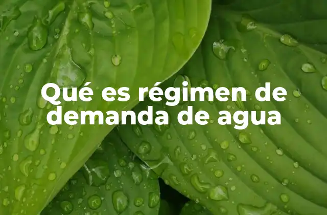 Qué es Régimen de Demanda de Agua 2 La importancia del balance hídrico en la gestión moderna