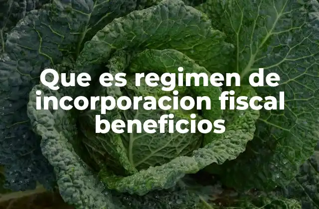Que es Regimen de Incorporacion Fiscal Beneficios