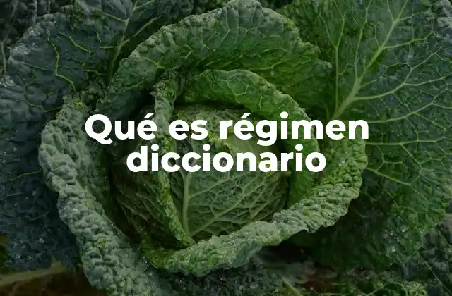 Qué es Régimen Diccionario