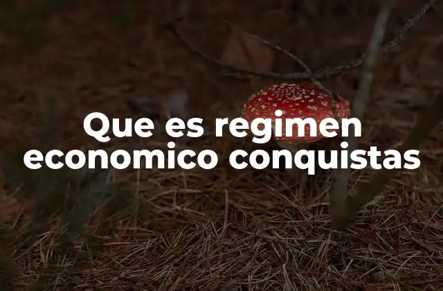 Que es Regimen Economico Conquistas