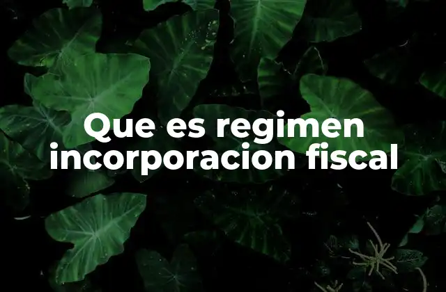 Que es Regimen Incorporacion Fiscal