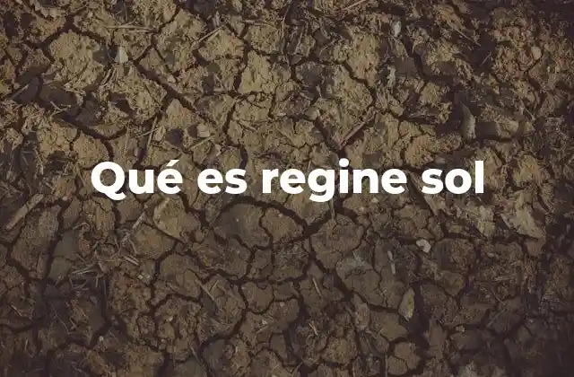 Qué es Regine Sol