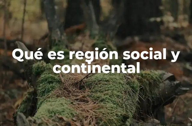 Qué es Región Social y Continental