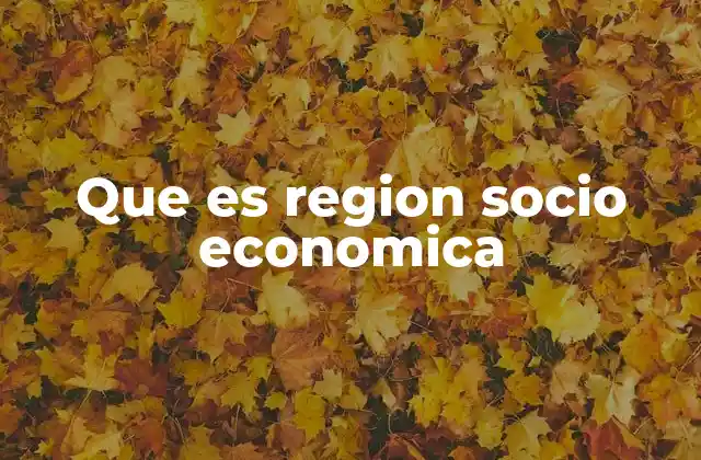 Que es Region Socio Economica