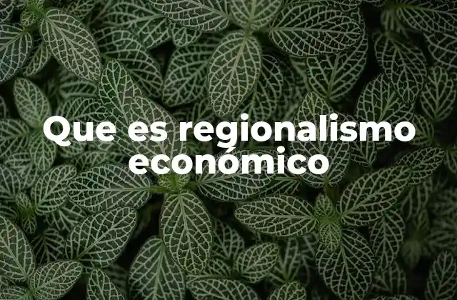 Que es Regionalismo Económico