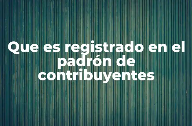 Que es Registrado en el Padrón de Contribuyentes