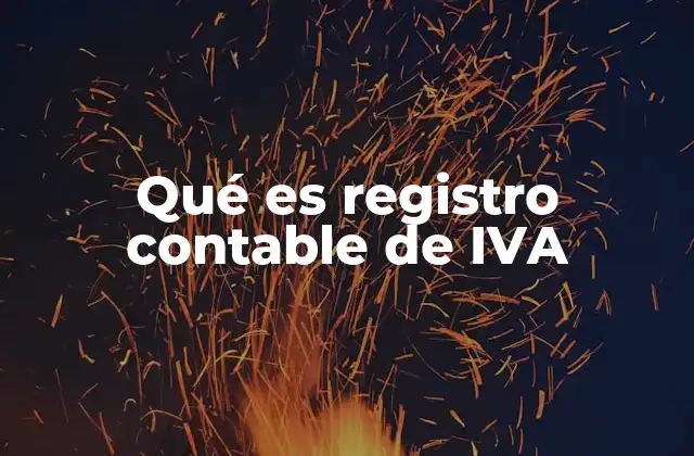 Qué es Registro Contable de Iva