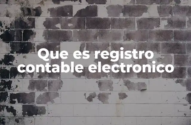 Que es Registro Contable Electronico