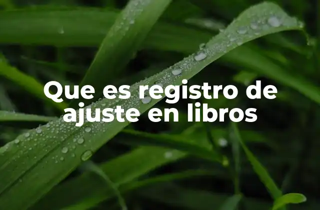 Que es Registro de Ajuste en Libros