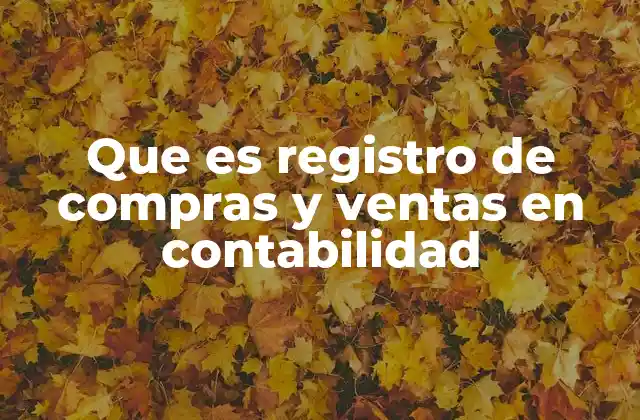 Que es Registro de Compras y Ventas en Contabilidad