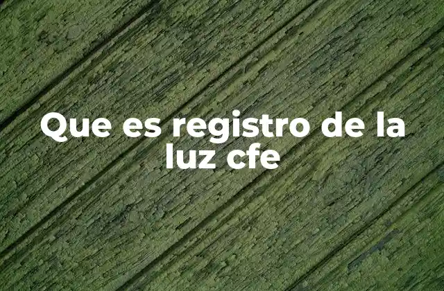 Que es Registro de la Luz Cfe