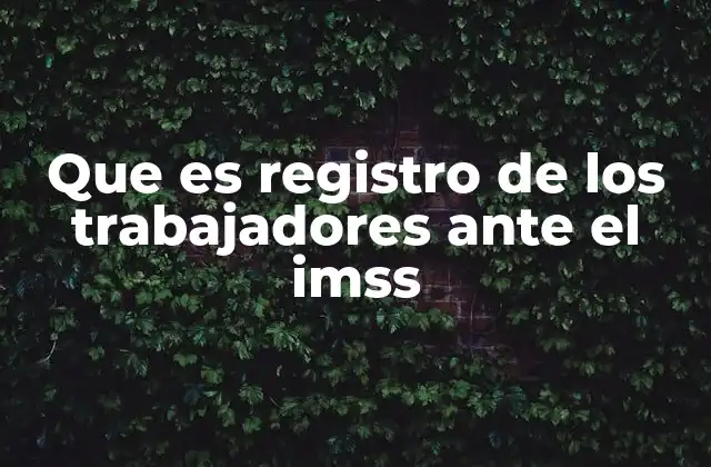 Que es Registro de los Trabajadores ante el Imss