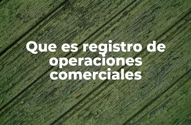 Que es Registro de Operaciones Comerciales 2 La importancia del control documental en el comercio