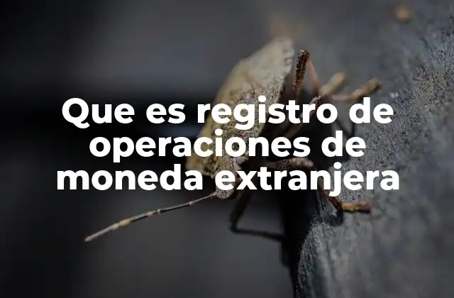 Importancia del control de transacciones internacionales