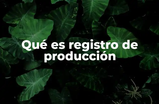 Qué es Registro de Producción