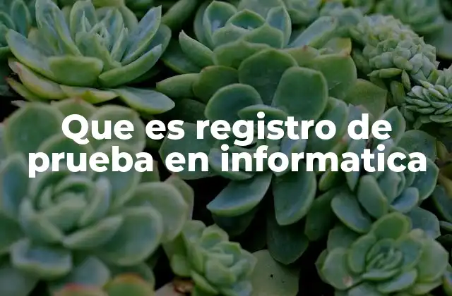 Que es Registro de Prueba en Informatica