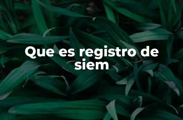 Que es Registro de Siem