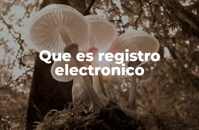 Que es Registro Electronico