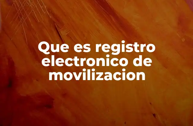 Que es Registro Electronico de Movilizacion
