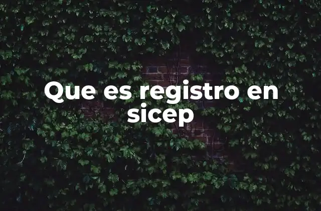 Que es Registro en Sicep