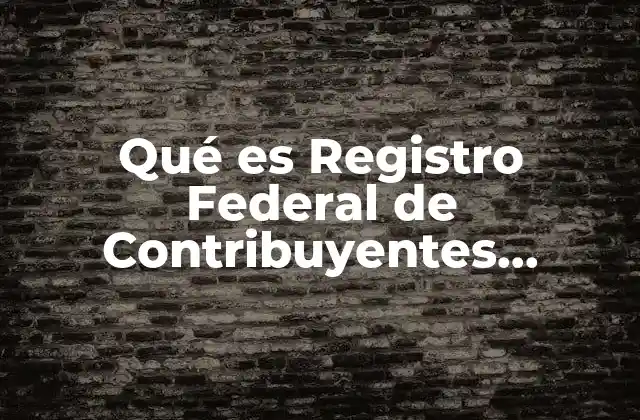 Qué es Registro Federal de Contribuyentes Obligatorio 2 La importancia del identificador fiscal en México