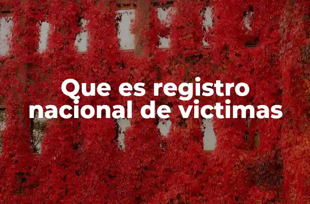 Que es Registro Nacional de Victimas