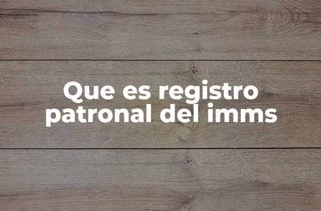 Que es Registro Patronal Del Imms