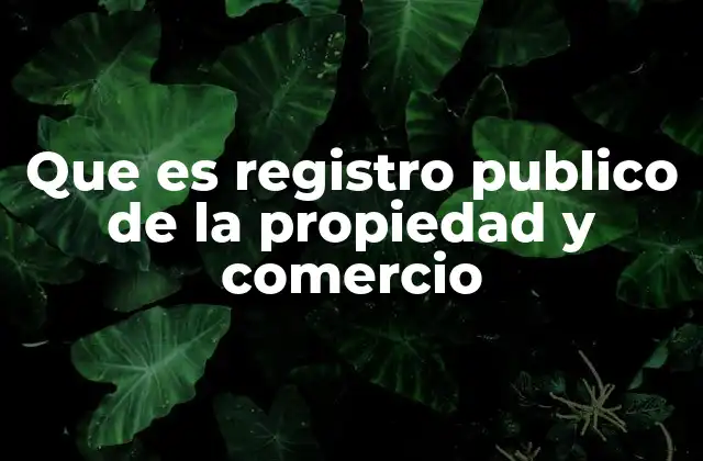 Que es Registro Publico de la Propiedad y Comercio