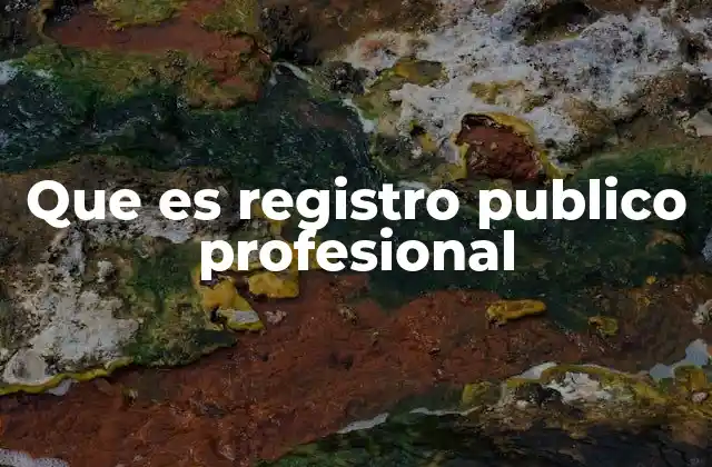 Que es Registro Publico Profesional