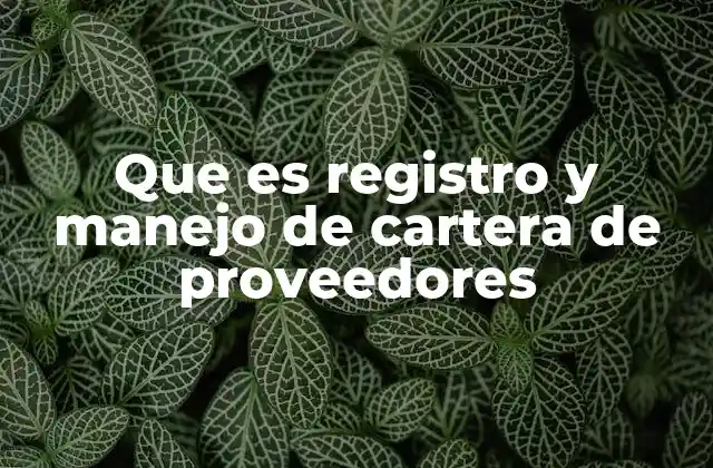Que es Registro y Manejo de Cartera de Proveedores