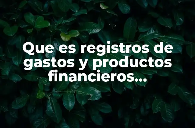 Que es Registros de Gastos y Productos Financieros Diapositvads