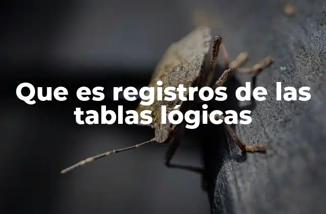 Que es Registros de las Tablas Lógicas
