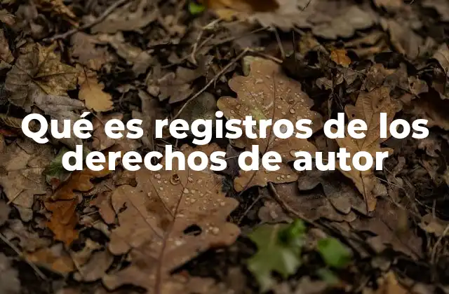 Qué es Registros de los Derechos de Autor