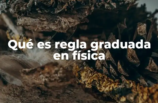 Qué es Regla Graduada en Física