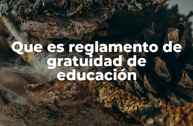 Que es Reglamento de Gratuidad de Educación