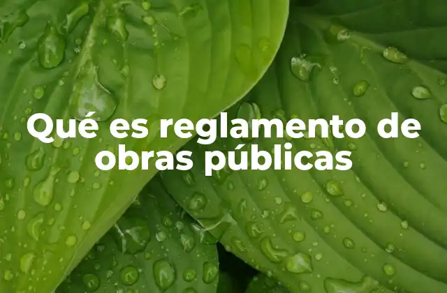 Qué es Reglamento de Obras Públicas 2 La importancia de las normativas en la gestión de proyectos de infraestructura