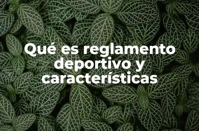 Qué es Reglamento Deportivo y Características