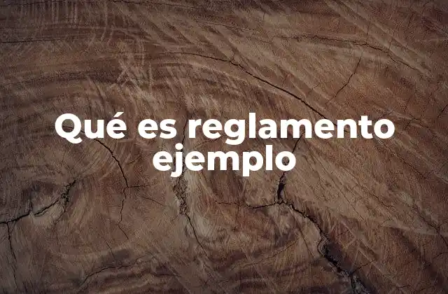 Qué es Reglamento Ejemplo