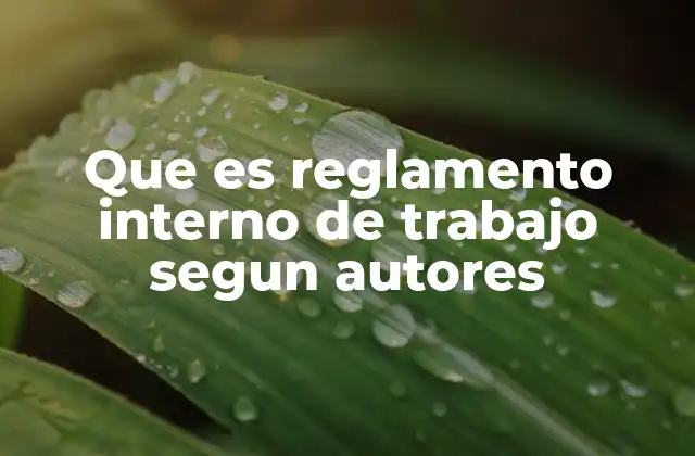 Que es Reglamento Interno de Trabajo Segun Autores