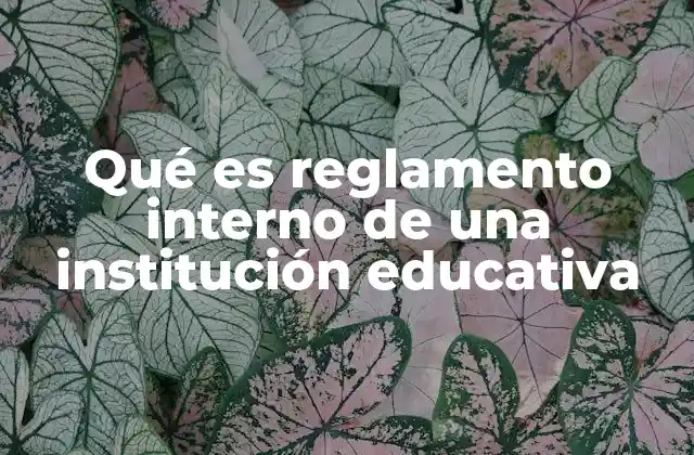 Qué es Reglamento Interno de una Institución Educativa