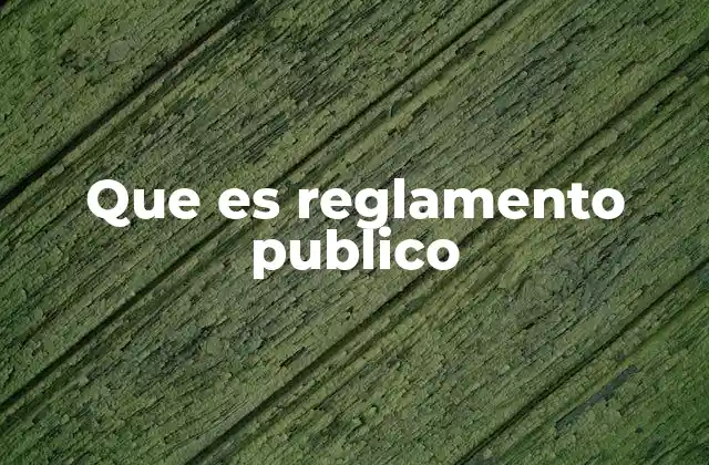 El rol de los reglamentos en la administración pública